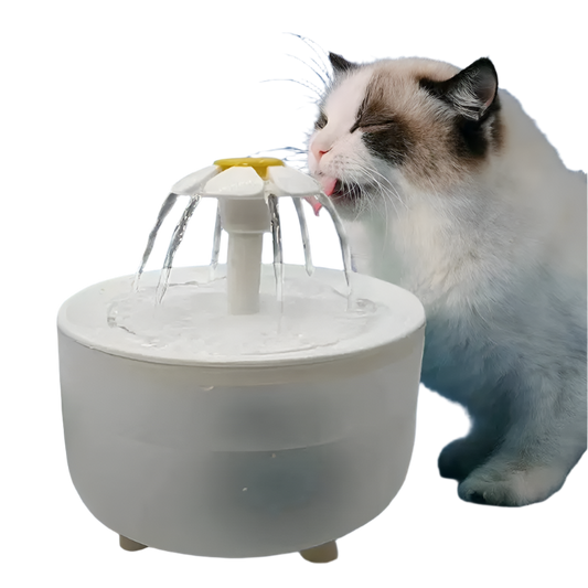 Automatic Pet Water Fountain - USB Electric Dispenser with Filtration