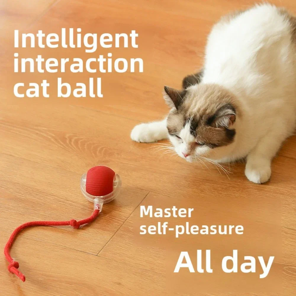 Electric Smart Pet Ball - Rechargeable Rolling Fun for Dogs & Cats