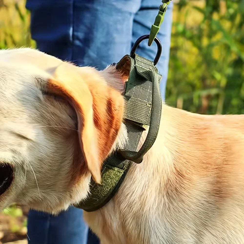 Tactical Dog Collar - Heavy-Duty Nylon with Handle for Training & Walking