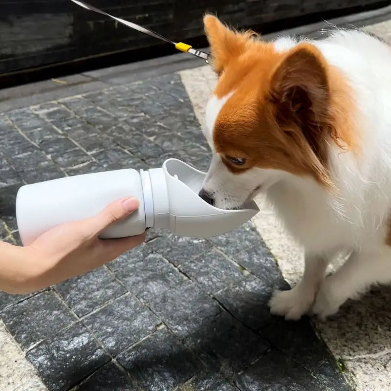 550ml Folding Pet Water Bottle - Outdoor Hydration for Pets