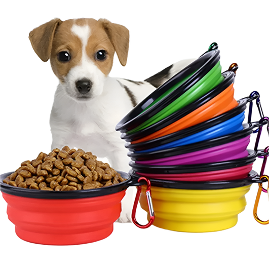 Collapsible Silicone Pet Bowl - Portable Water & Food Feeder