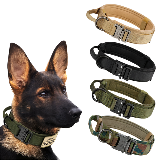 Tactical Dog Collar - Heavy-Duty Nylon with Handle for Training & Walking