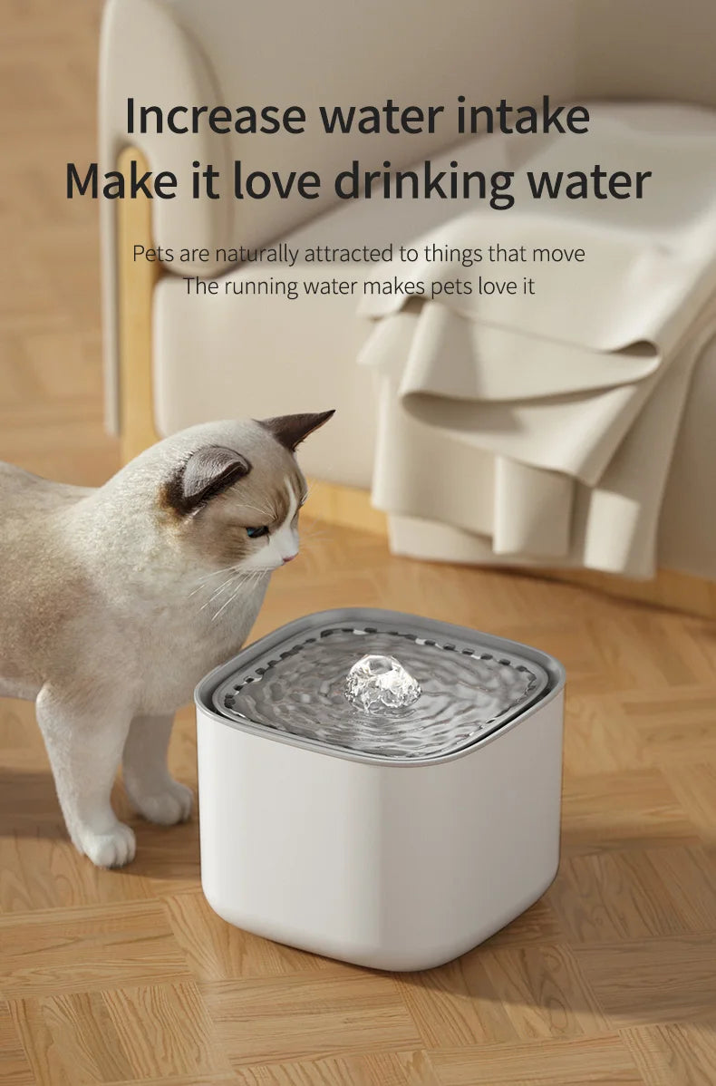 3L Cat Water Fountain - Large Capacity with Recirculating Filter