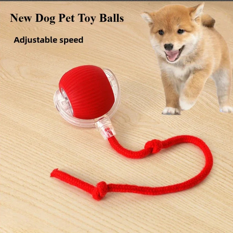 Electric Smart Pet Ball - Rechargeable Rolling Fun for Dogs & Cats