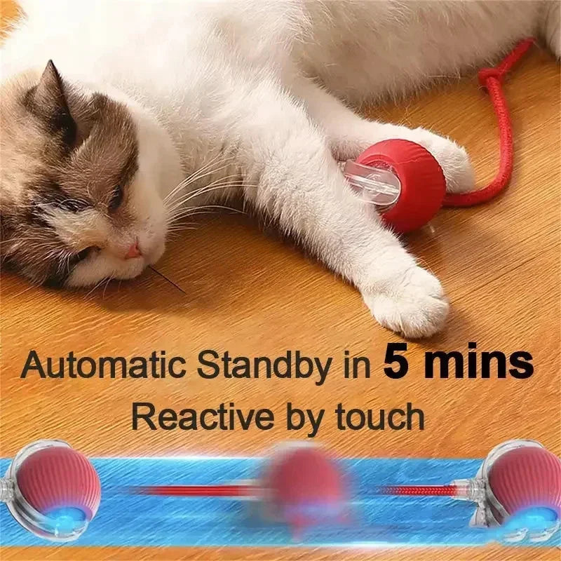 Rechargeable Smart Pet Ball - Automatic Rolling Toy for Dogs & Cats