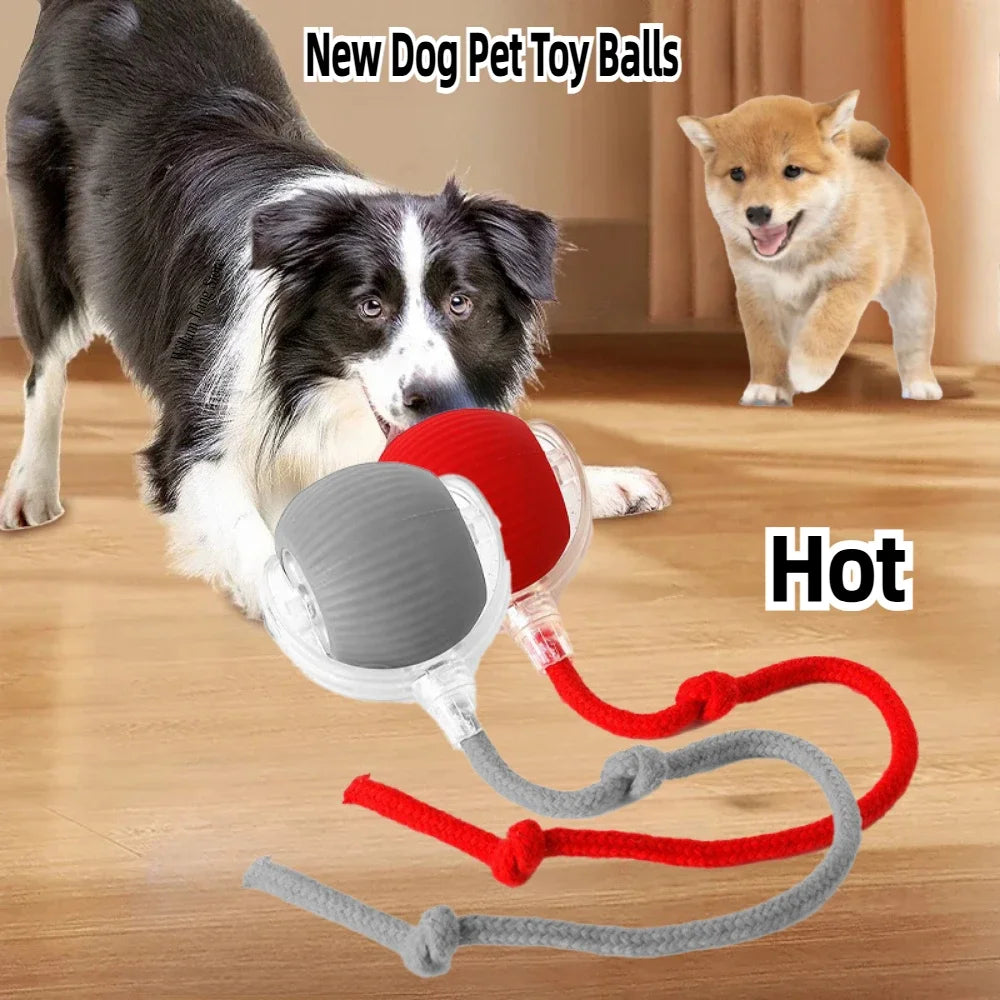 Electric Smart Pet Ball - Rechargeable Rolling Fun for Dogs & Cats