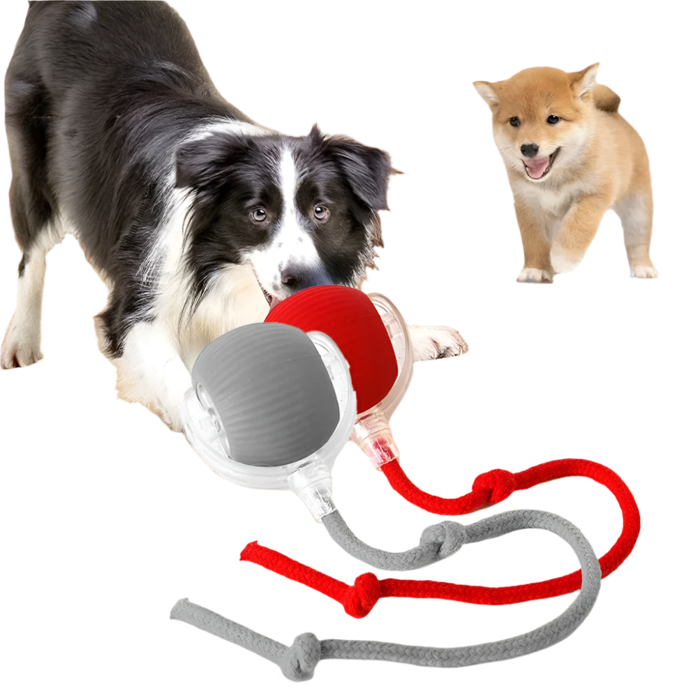 Rechargeable Smart Pet Ball - Automatic Rolling Toy for Dogs & Cats