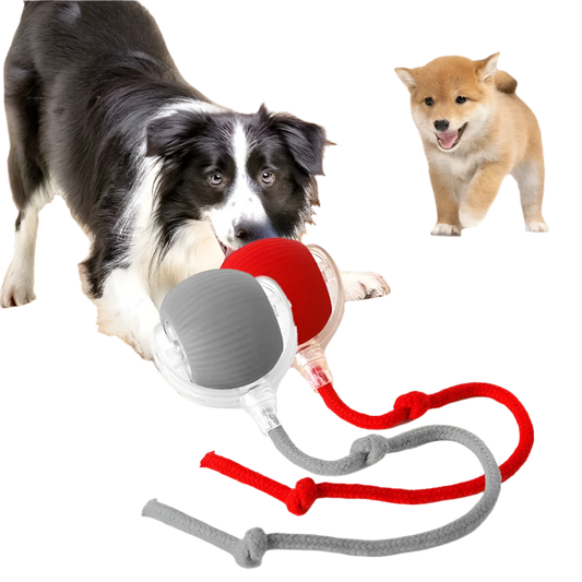 Rechargeable Smart Pet Ball - Automatic Rolling Toy for Dogs & Cats